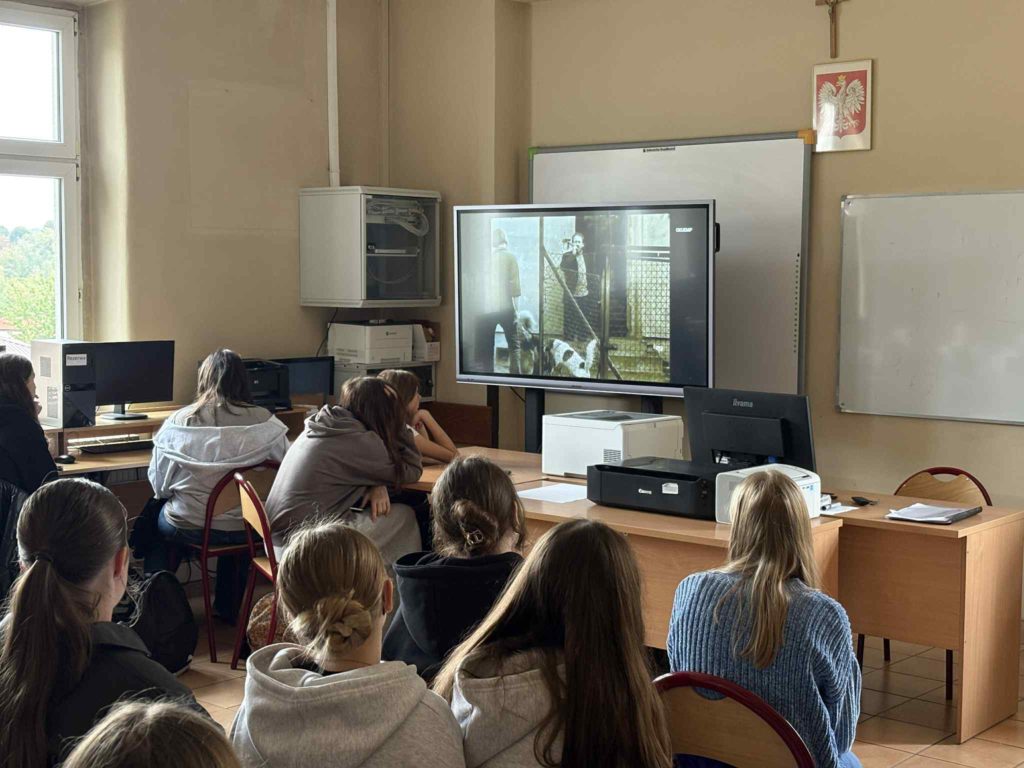 bcd9363a 5e0a 4e6f 8e3e b867cf5f5038