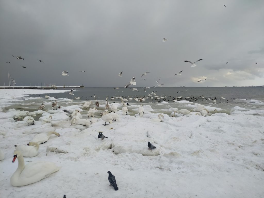 641403866 1324609833023443 960092017788434650 n